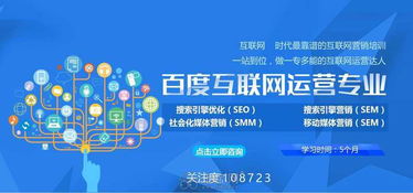 聯(lián)網(wǎng)運(yùn)營(yíng)師如何高效經(jīng)營(yíng)電子商務(wù) 策略與實(shí)踐